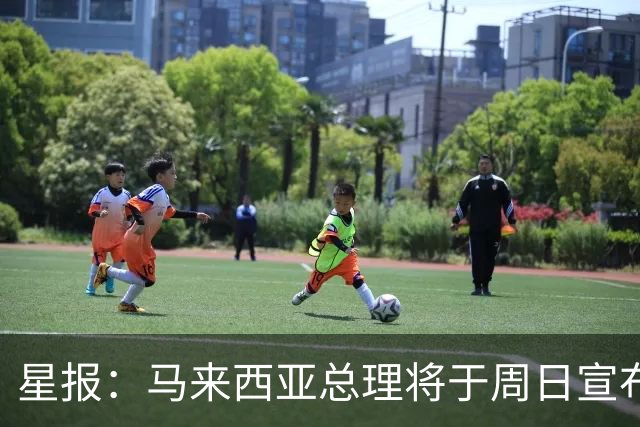 星报：马来西亚总理将于周日宣布雪邦今年是否举办F1分站